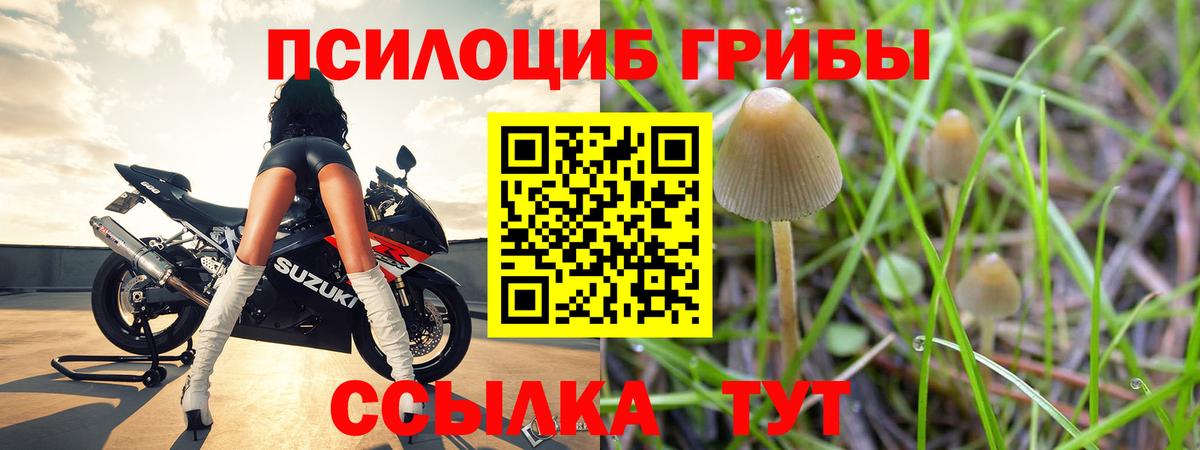 Галлюциногенные грибы мухоморы Лабытнанги